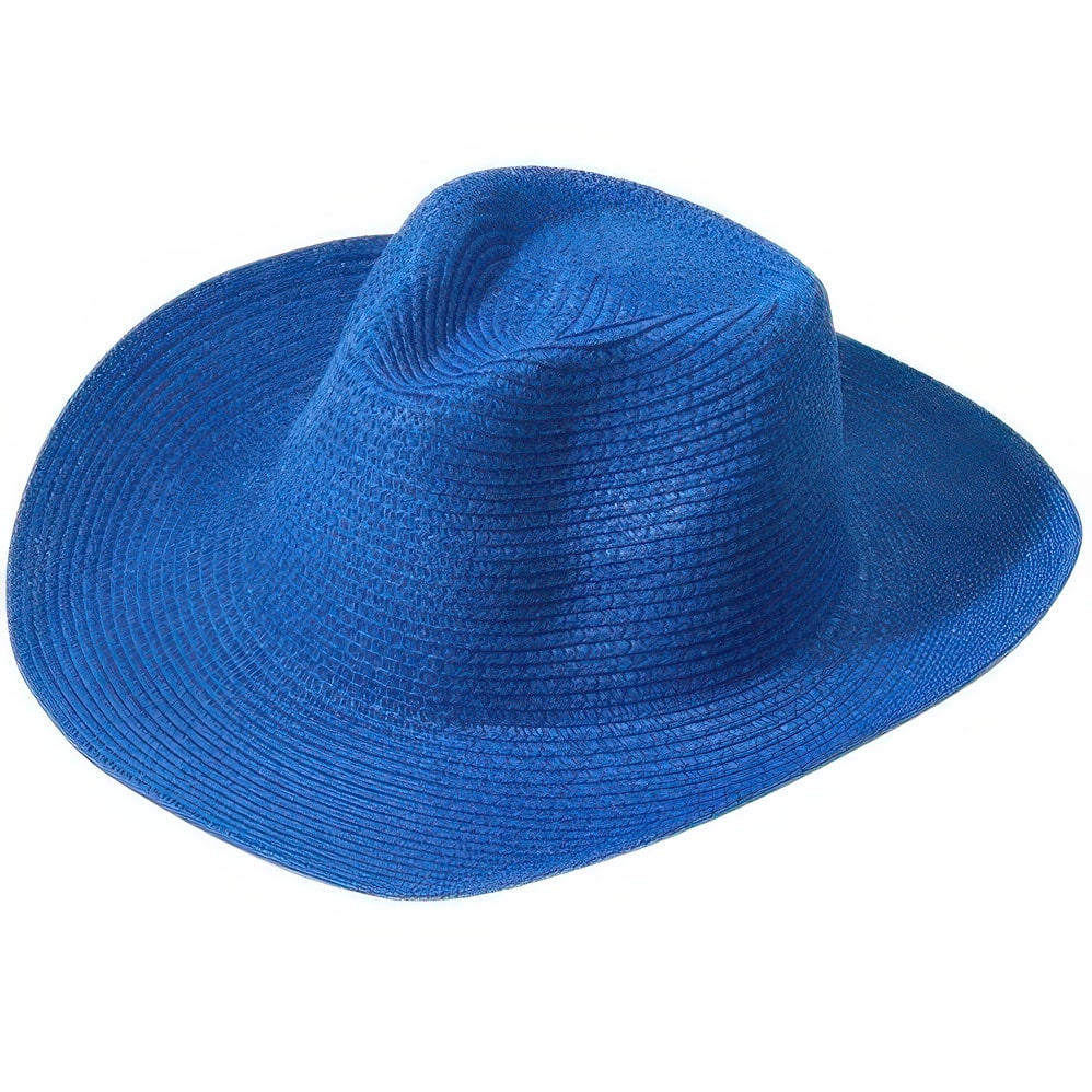 Chapeau Paille Couleur