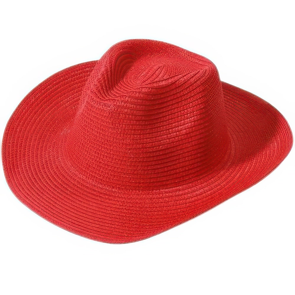 Chapeau Paille de Couleur